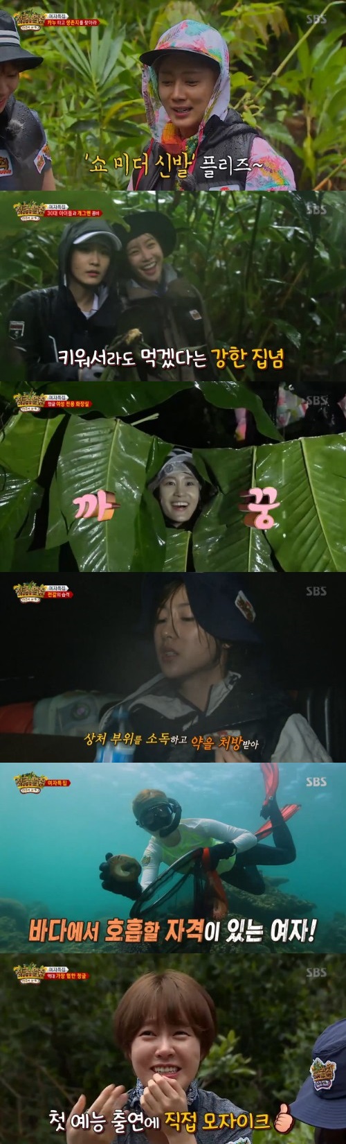 정글의 법칙