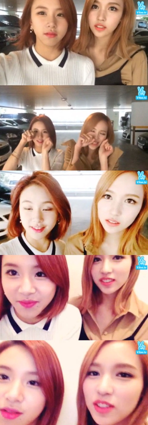 사진 : 네이버 브이앱