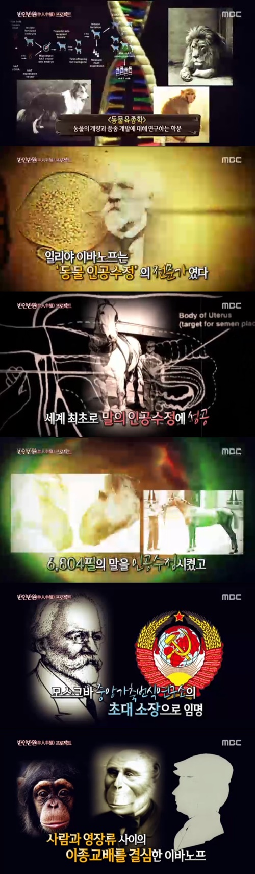 출처;,MBC