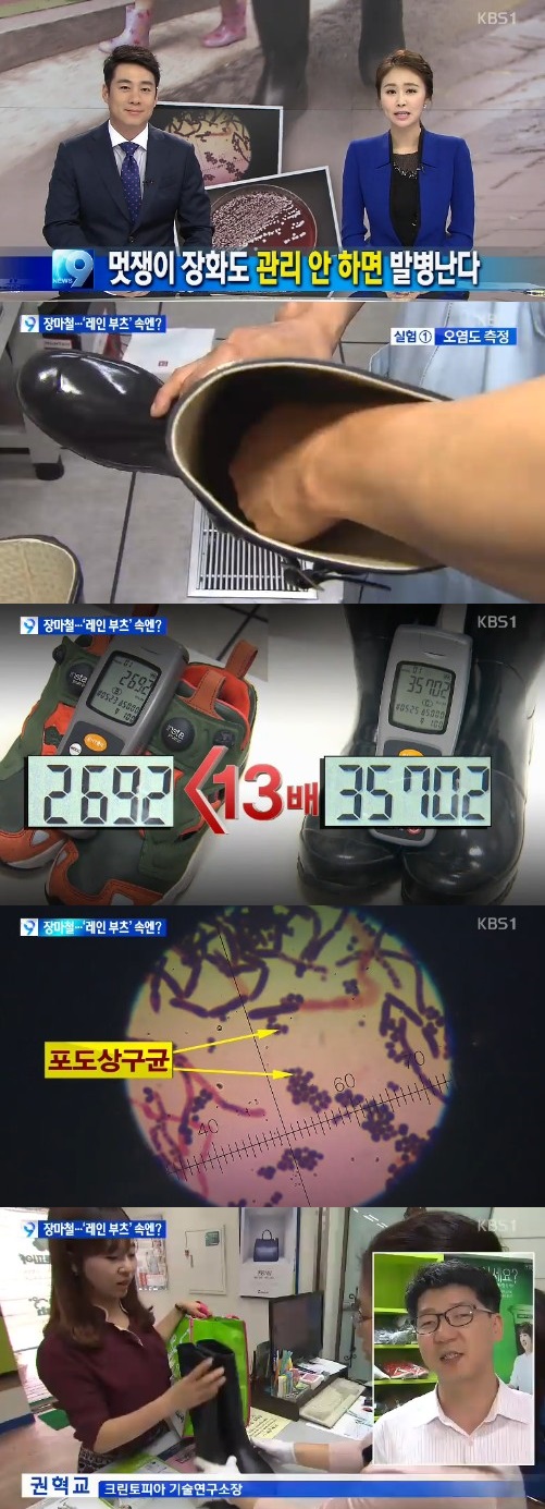 kbs 뉴스