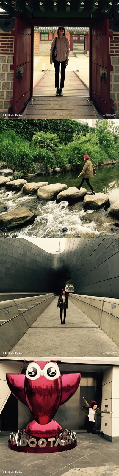 릴리 콜린스 인스타그램