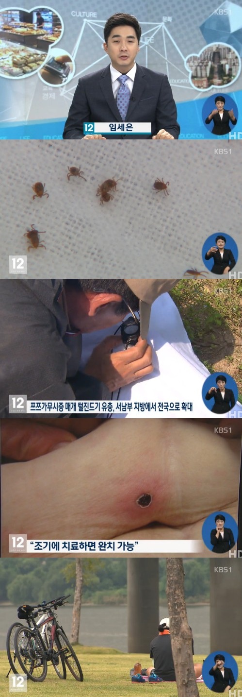 KBS 뉴스