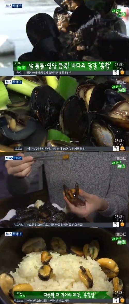 MBC 뉴스 캡쳐