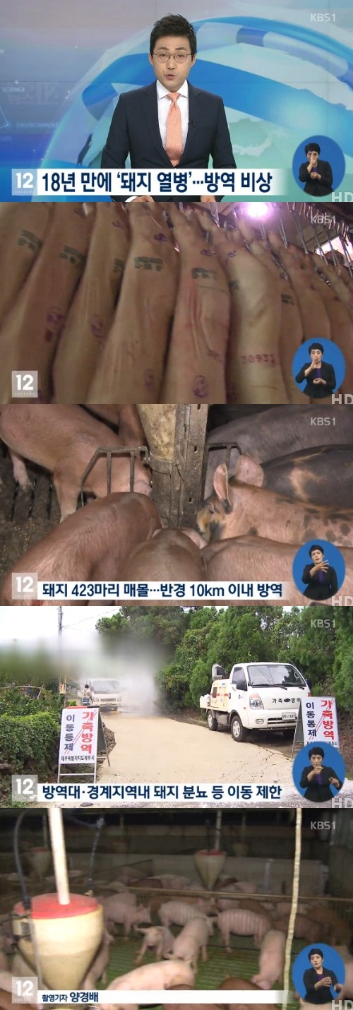 KBS 뉴스 캡쳐