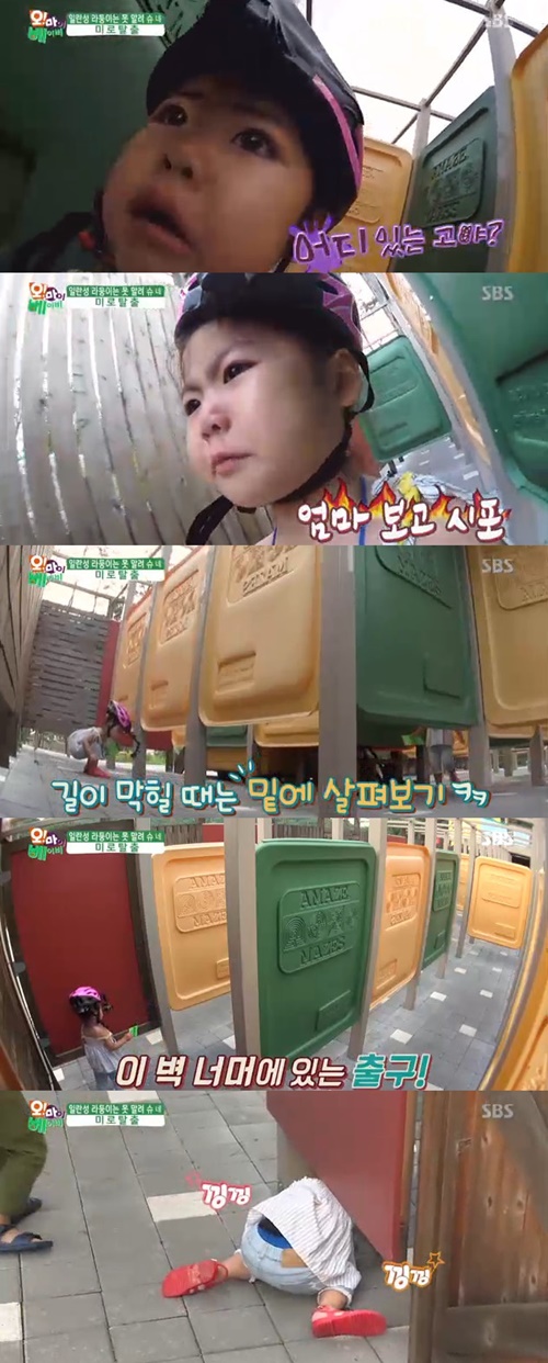 출처:SBS