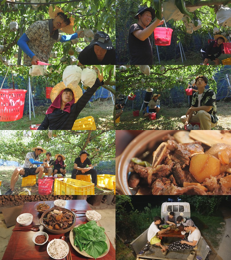 tvN '삼시세끼' 캡쳐