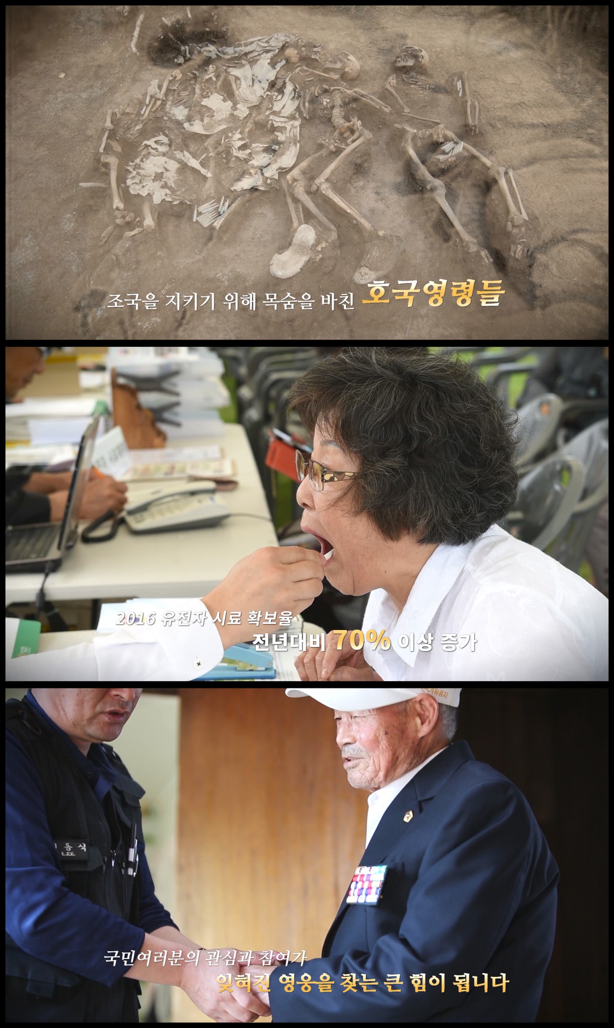서경덕 교수 제공