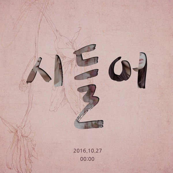 (사진=DSP미디어)