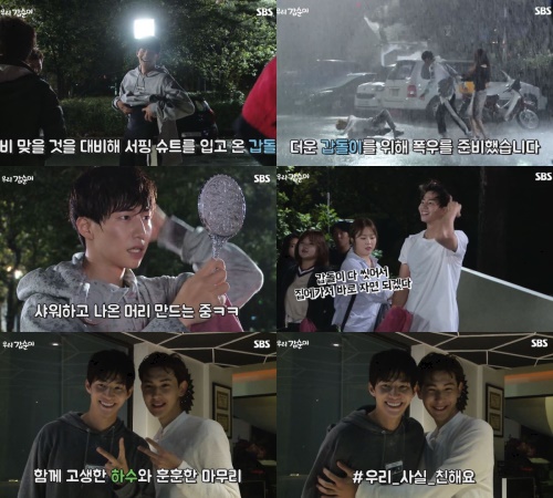 SBS 제공