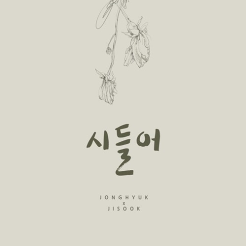 (사진=DSP미디어)