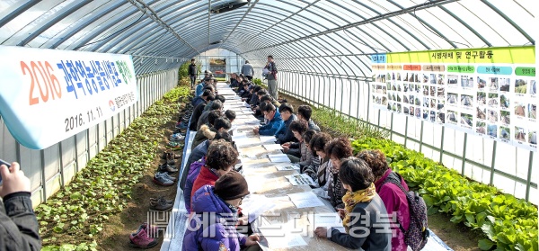 울릉군 농업기술센터가  농업인의 날을 맞아 과학영농실증 시범포 현장에서  평가회를 가졌다.(울릉군 농기센터 제공)