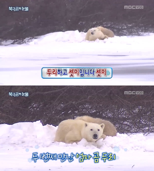 MBC 방송화면 캡처