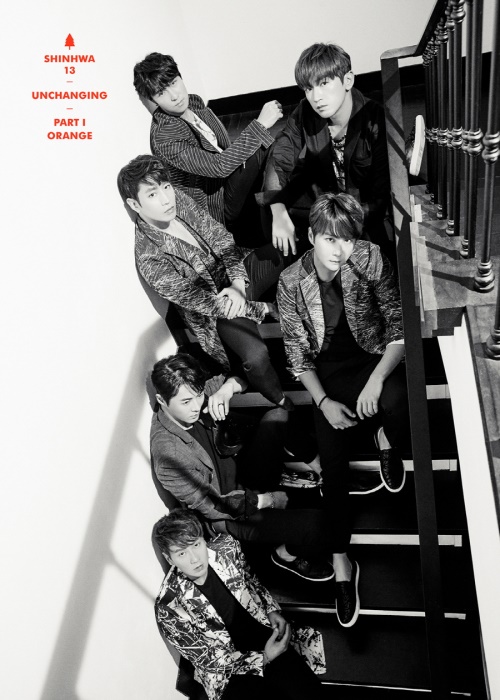 신화컴퍼니 제공