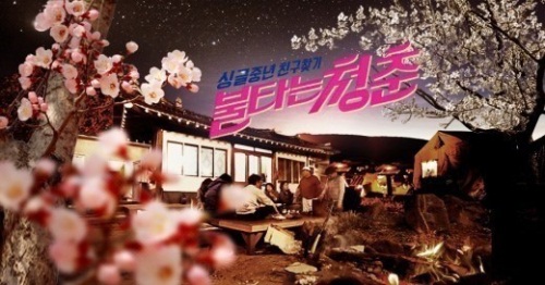 SBS 제공