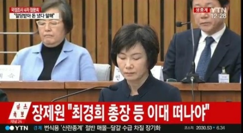 (사진=YTN캡처)