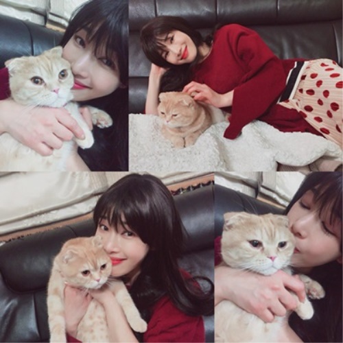CJ E&M 제공