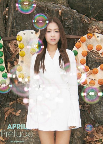 (DSP Media)