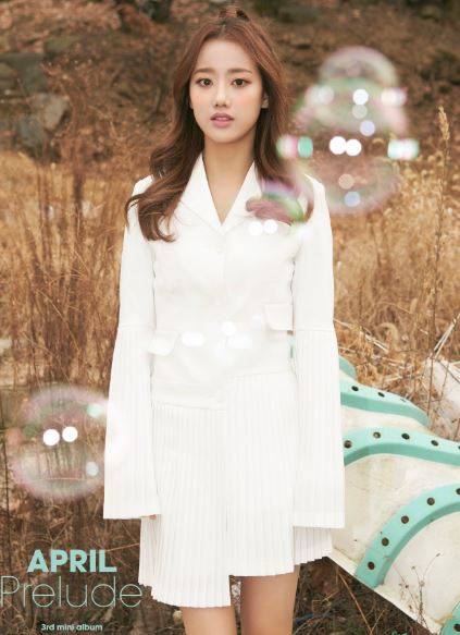 (DSP Media)