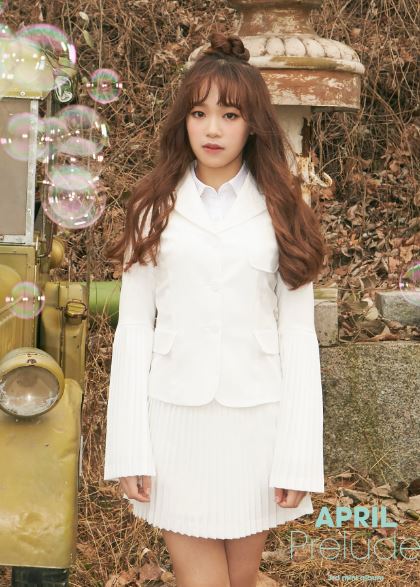 (DSP Media)