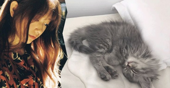 (Park Shin-hye's Instagram)
