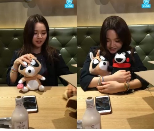 V앱 지헤라