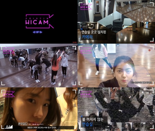 프리스틴 관찰 카메라