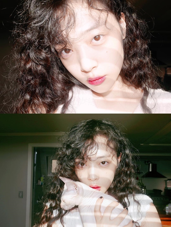 설리 인스타
