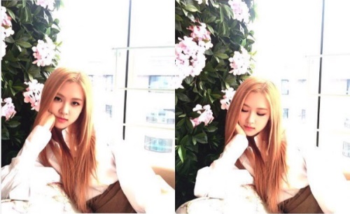 블랙핑크 인스타그램