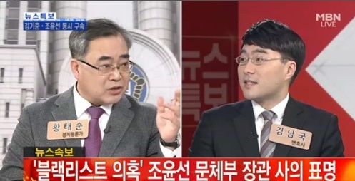 황태국 정치평론가와 김남국 변호사의 토론이 시청자의 눈길을 끌었다. (사진=MBN 캡처)