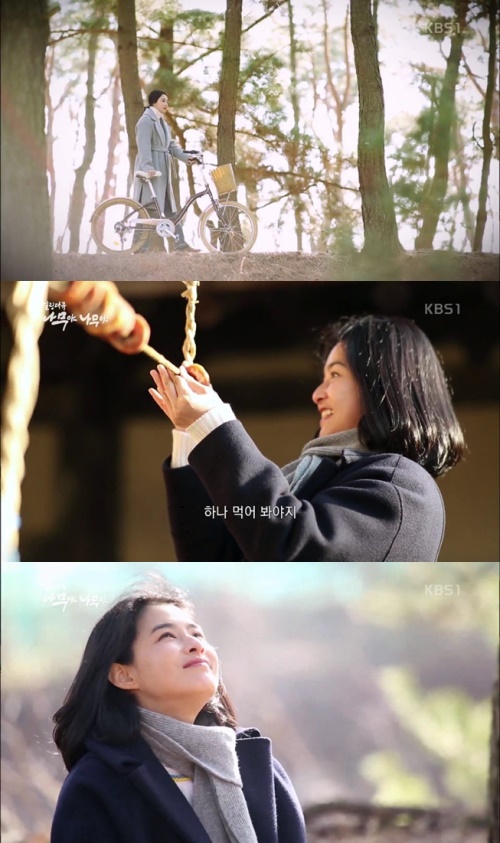 KBS 1TV '나무야 나무야' 캡쳐
