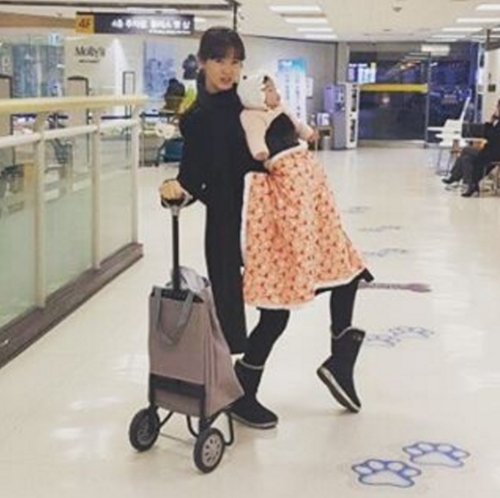 (사진=정가은 인스타그램)