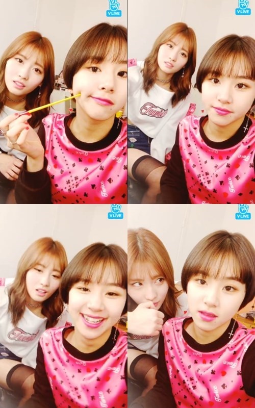 V앱 트와이스