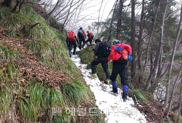 실종된 A씨를 찾기 위해 울릉산악 구조대가 등반로를 수색하고 있다,(울릉 산악 구조대 제공)