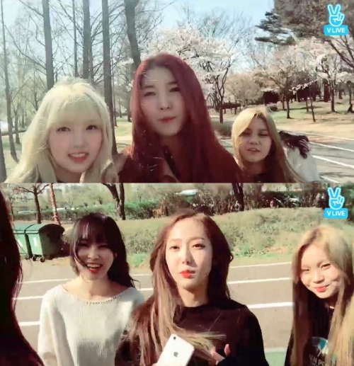네이버 V앱 화면 캡처