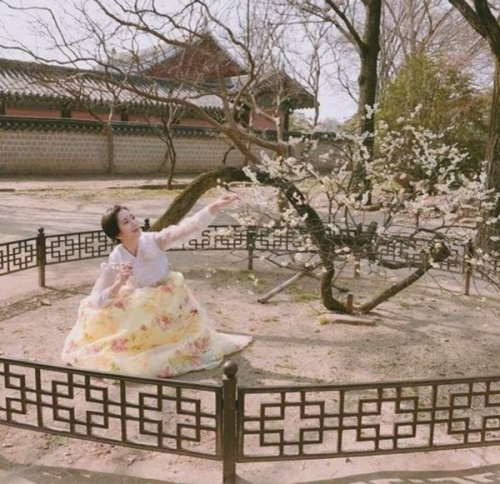 배우 예정화가 매화 훼손 논란에 사과했다. 사진=예정화 인스타그램