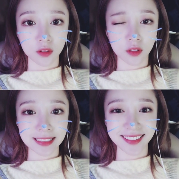 하니 인스타