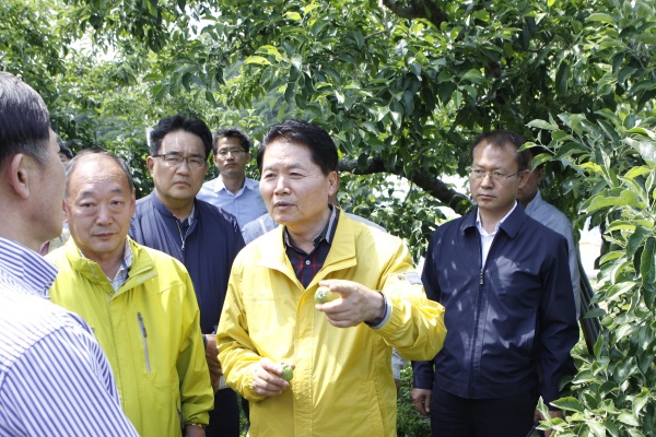 김병원 농협 중앙회장이 영주시 부석면 사과 농가를 방문해 농심을 위로하고 지원대책을 약속하고 있다.(경북농협 제공)