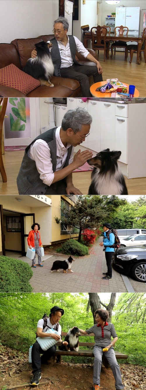 SBS 제공