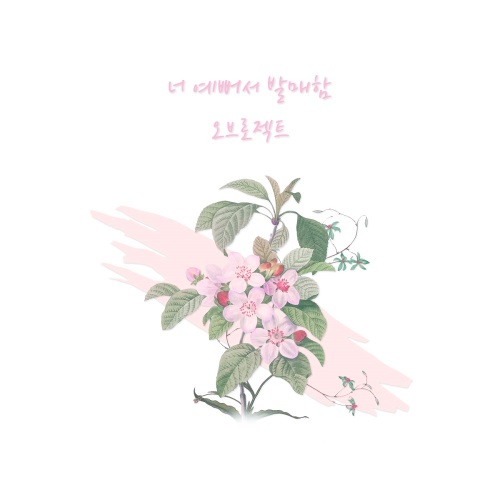 RBW 제공