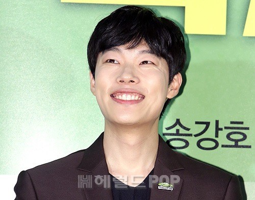헤럴드POP DB