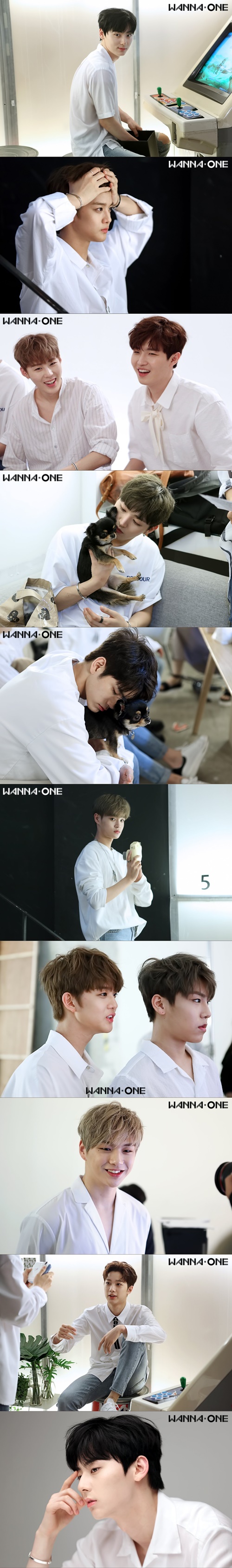 워너원 트위터