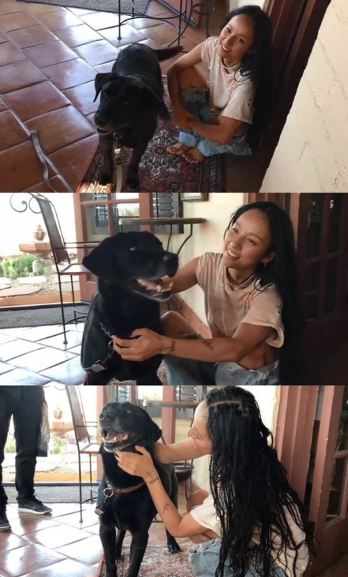 이효리 소속사 인스타그램