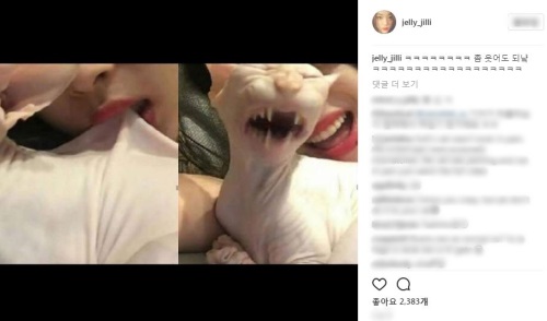 설리 인스타그램