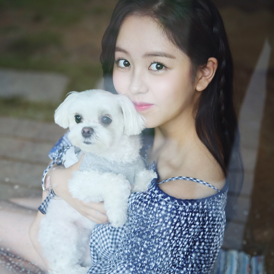 싸이더스HQ 인스타