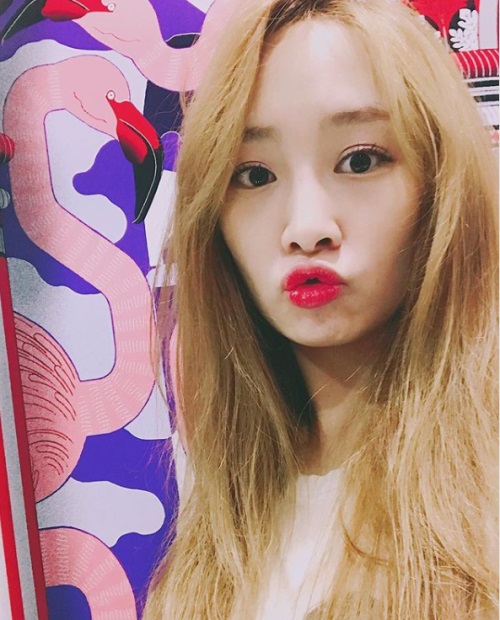 니콜 인스타그램