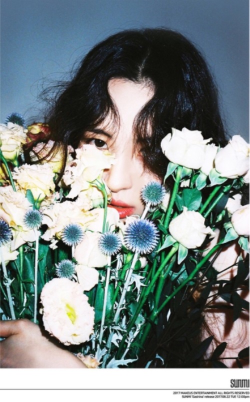 선미 인스타그램
