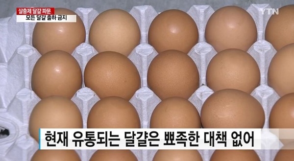 사진=YTN 뉴스 방송화면