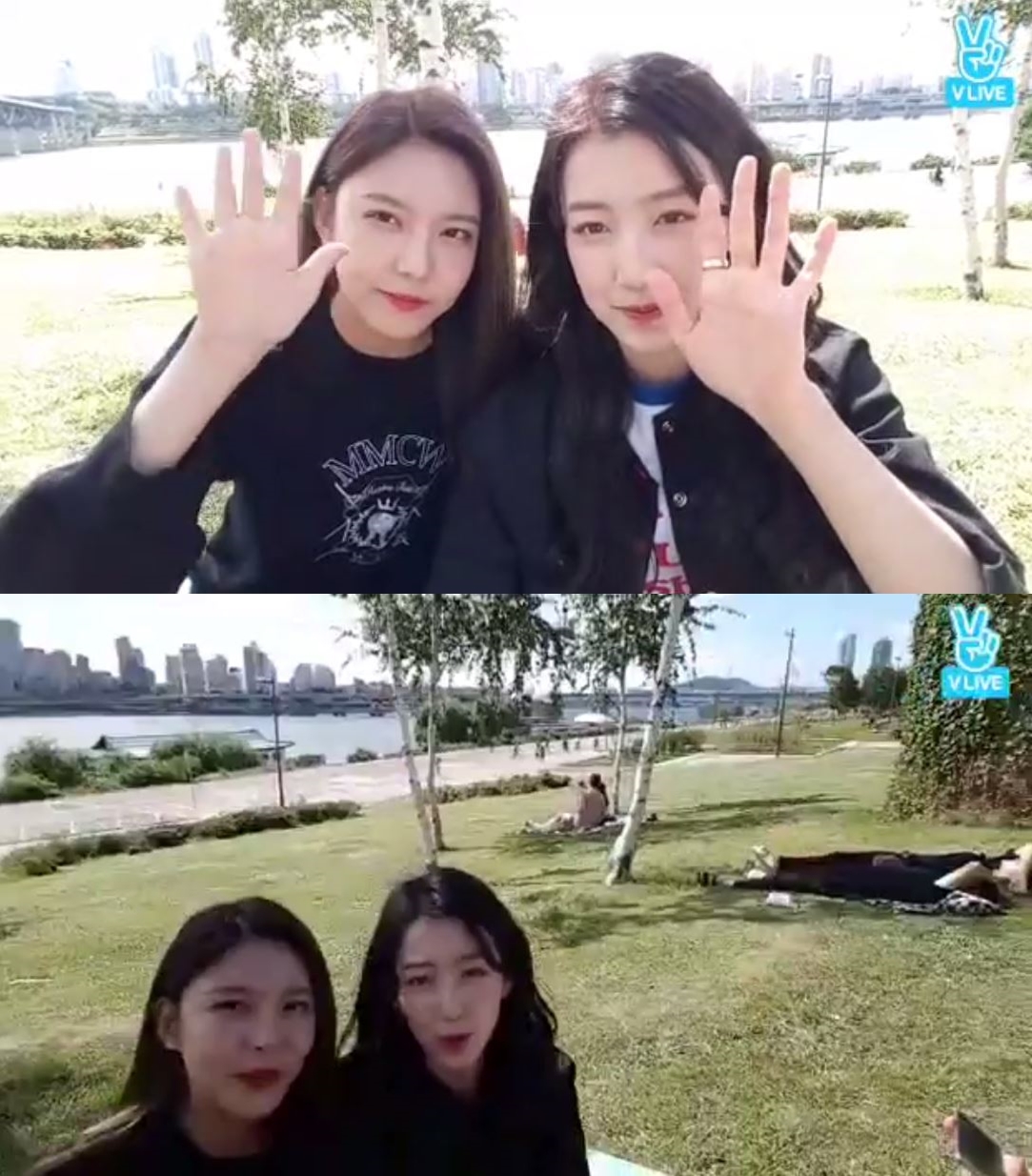 (Naver V app)