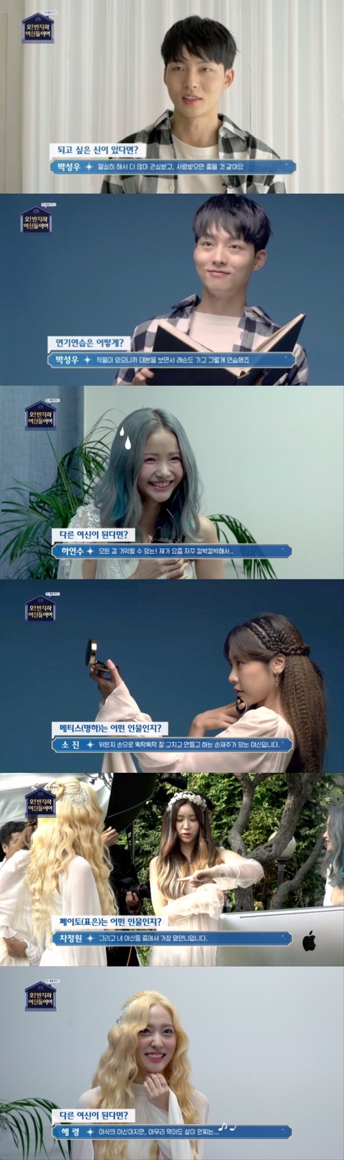 온스타일 제공