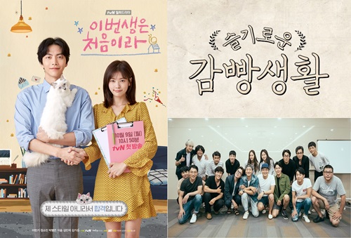 tvN 제공
